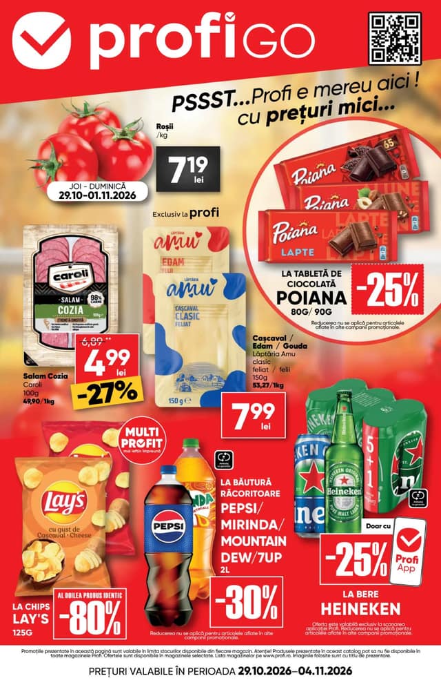 PROFI GO flyer cover
