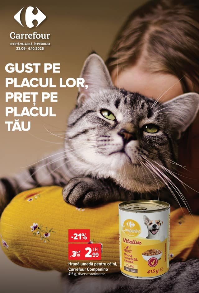 Carrefour flyer cover