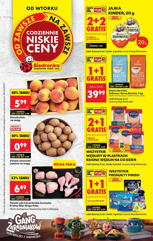 Biedronka flyer cover