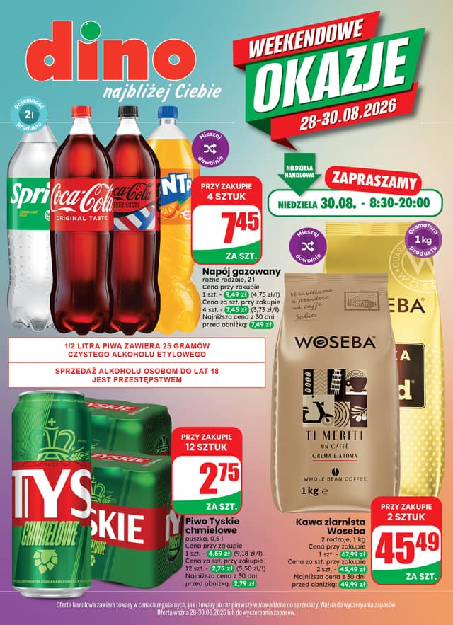 DINO flyer cover