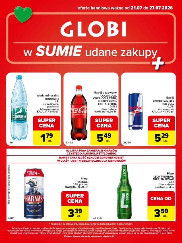 GLOBI flyer cover