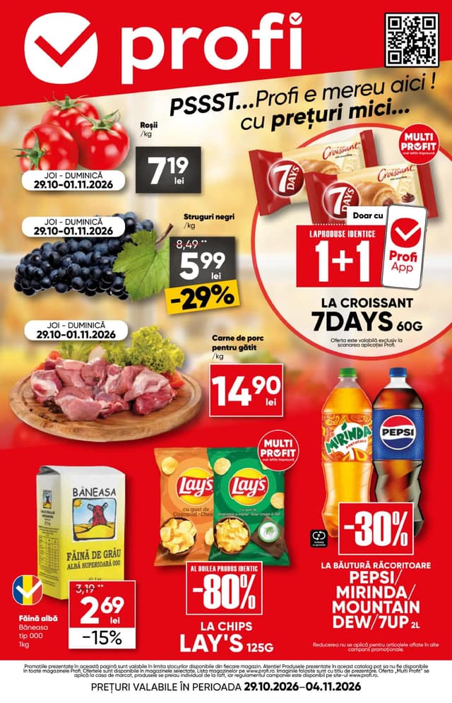 Profi flyer cover