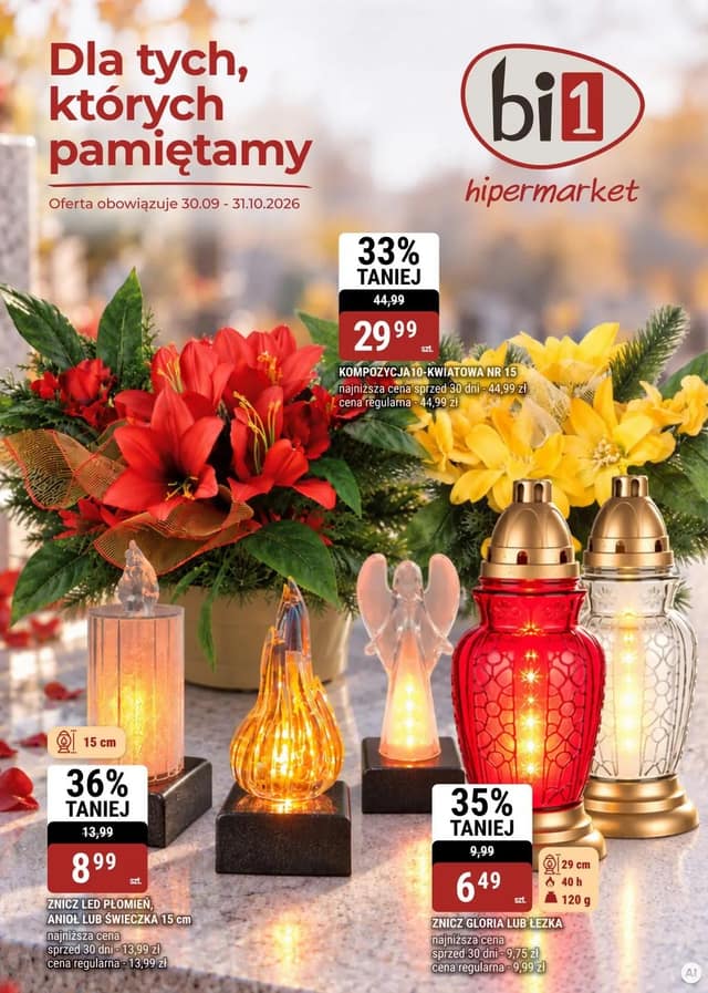 Bi1 flyer cover