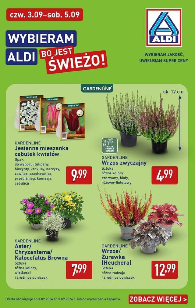 ALDI flyer cover