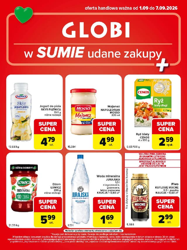 GLOBI flyer cover