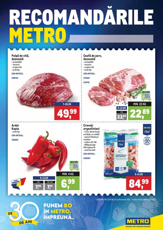 Metro flyer cover