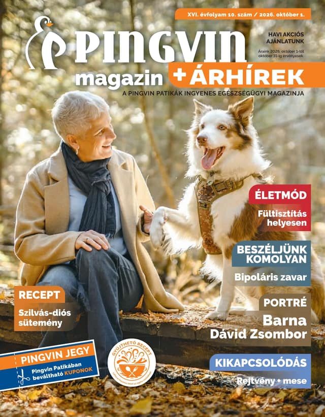 PINGVIN PATIKA flyer cover