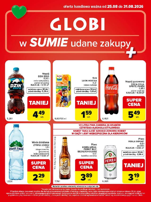 GLOBI flyer cover