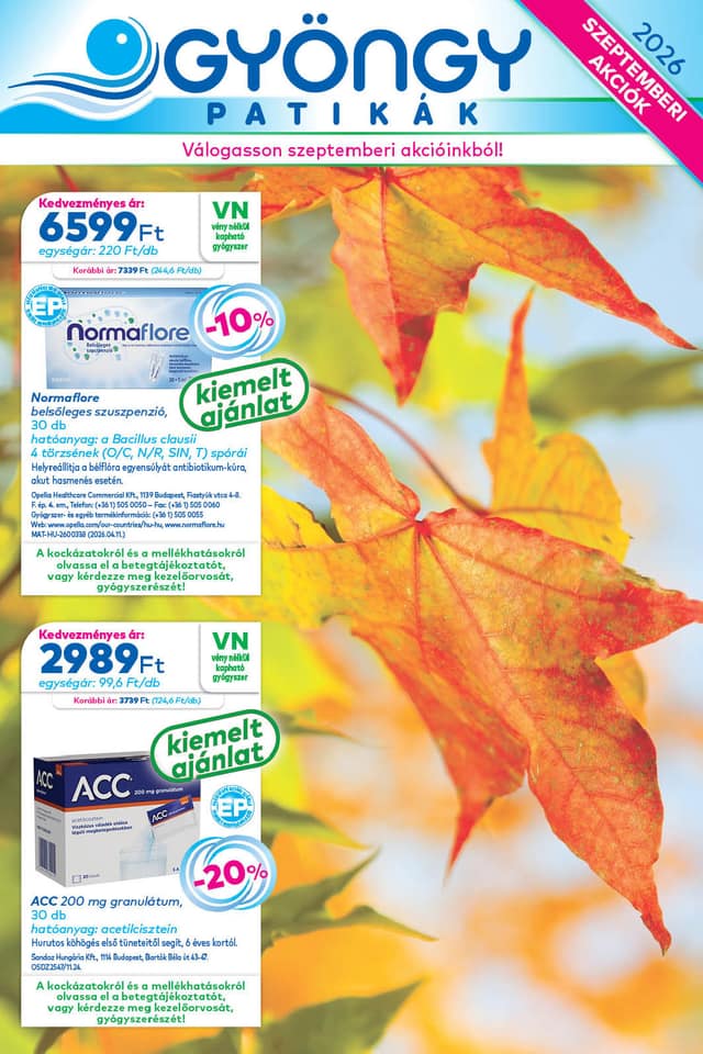 GYÖNGY PATIKÁK flyer cover