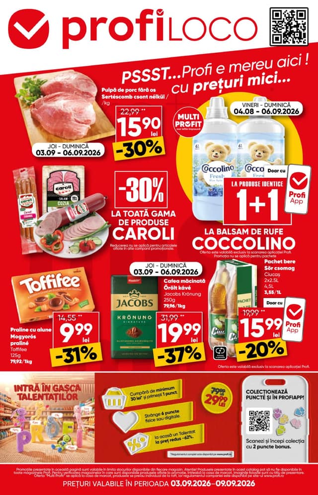 PROFI LOCO flyer cover