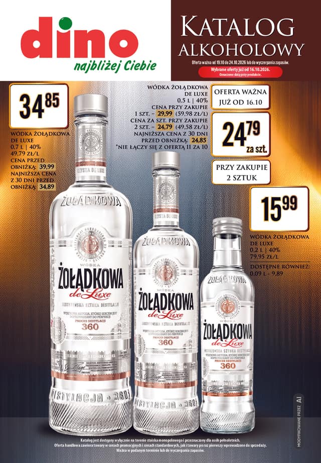 DINO flyer cover