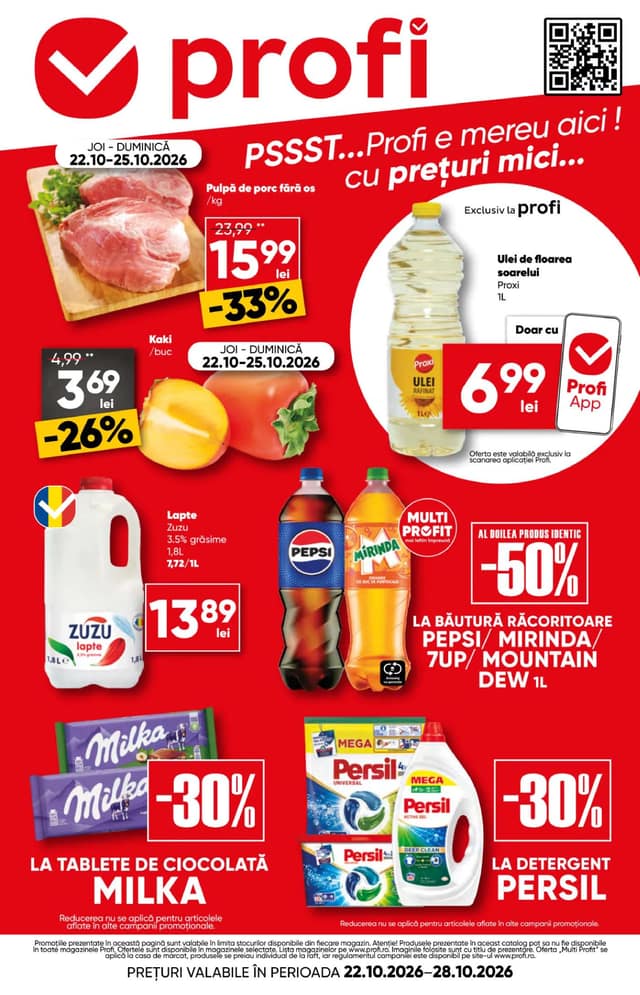 Profi flyer cover