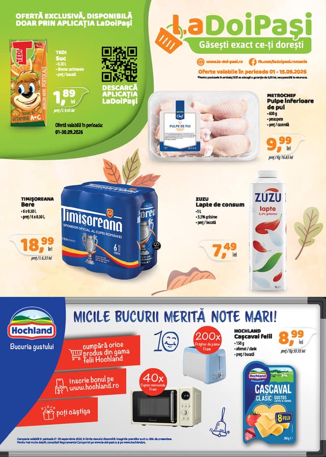 La doi pasi flyer cover